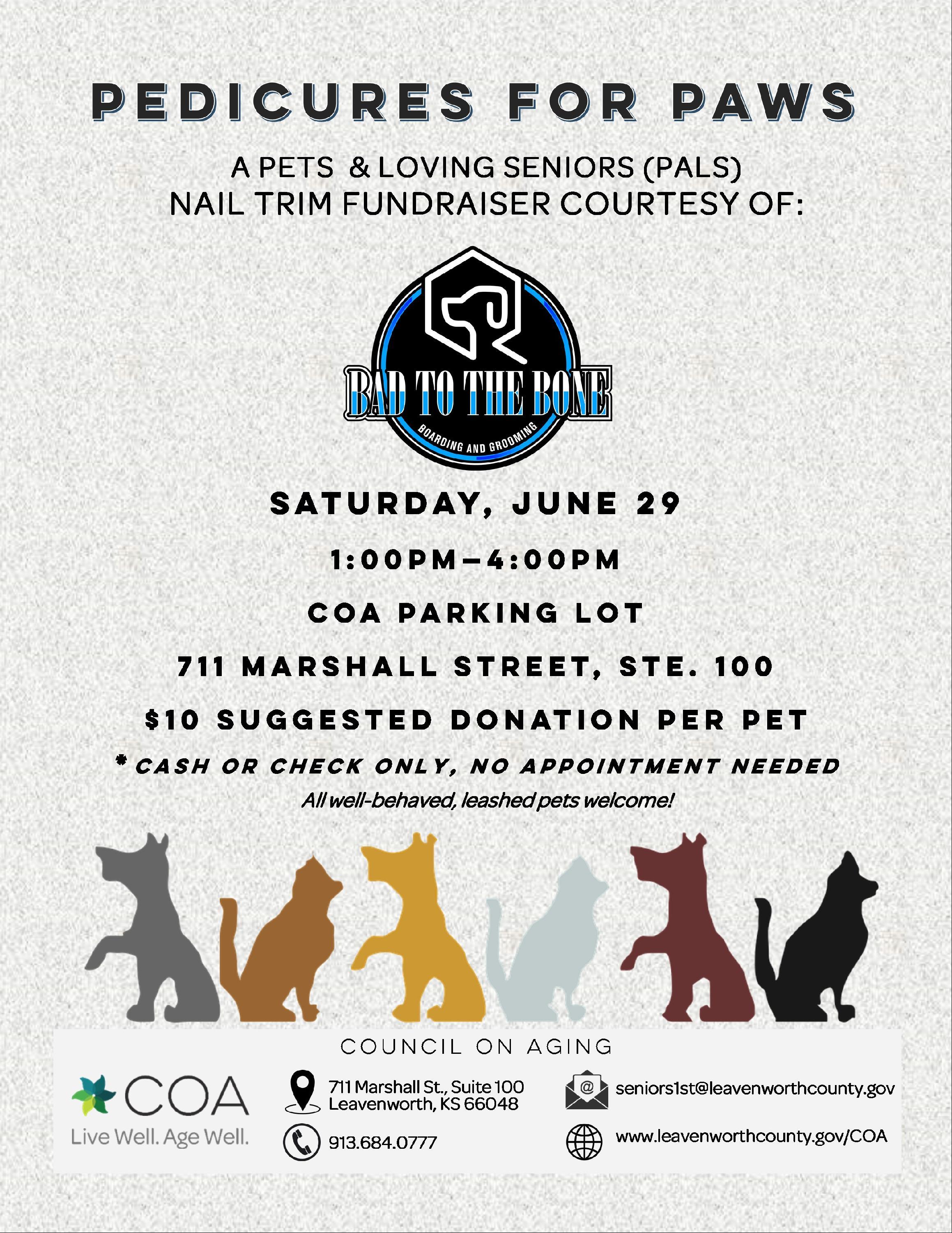 Pedicaure for Paws